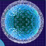 Cell Laboratory<span>(No Ads)</span>1.00.30-patreon_funmod.online