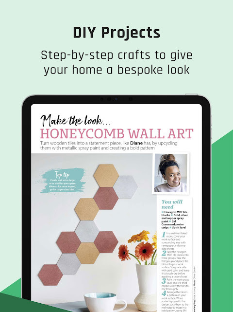 HomeStyle Magazine screenshot image 13_funmod.online