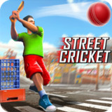 Street Criket-T20 Cricket Game1.7_funmod.online