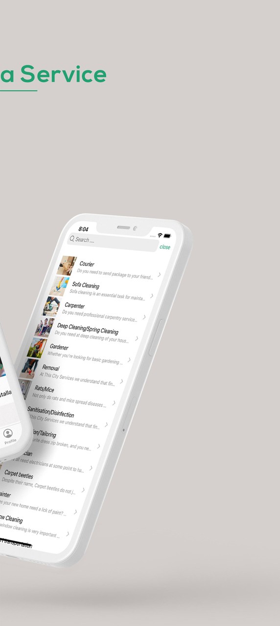 This City Services screenshot image 18_funmod.online