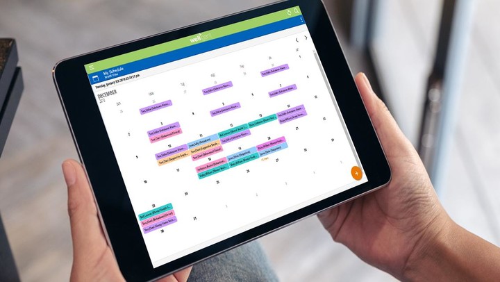 Welligent Express v2 screenshot image 8_funmod.online