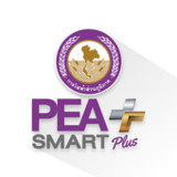 PEA Smart Plus3.2.8_funmod.online
