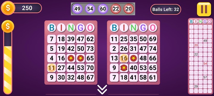 Bingo Classic Offline screenshot image 1_funmod.online