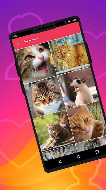 Likes and followers - Analyzer screenshot image 4_funmod.online