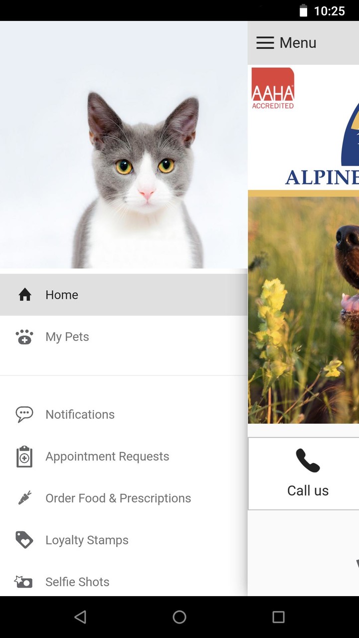Alpine Animal Hospital screenshot image 6_funmod.online