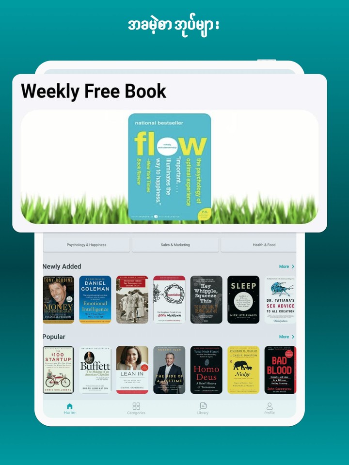 Shwe Note: 30 min book summary screenshot image 18_funmod.online