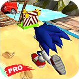 Pro Blue Hedgehog - Ultimate Adventure1.0.0_funmod.online