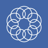 Real Insight2.4_funmod.online