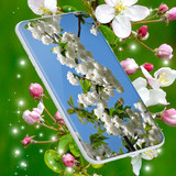Cherry Blossom Live Wallpaper6.9.9_funmod.online