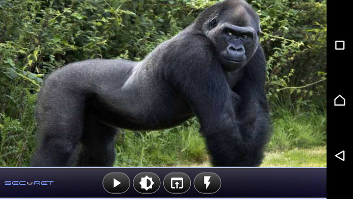 RhythmCam-Heart Rhythm Checker screenshot image 3_funmod.online