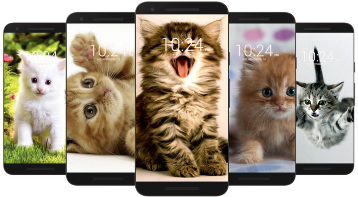 Kitten & Cute Cat Wallpaper HD screenshot image 3_funmod.online