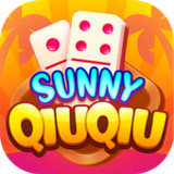 Sunny Domino1.08_funmod.online