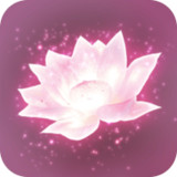 Lotus Digital (Full Content)1.5.6_funmod.online