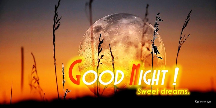 Good Night screenshot image 12_funmod.online