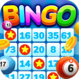 Bingo Fever Game1.0.5_funmod.online