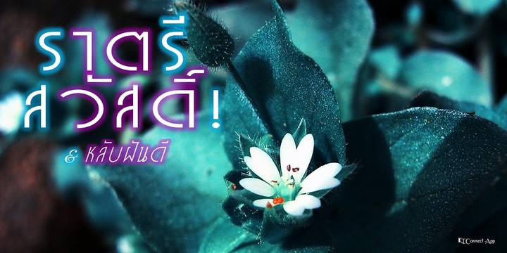 Good Night screenshot image 14_funmod.online