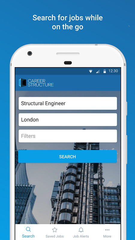 Career Structure screenshot image 8_funmod.online