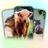 Animal Learning For Toddlers1.91_funmod.online