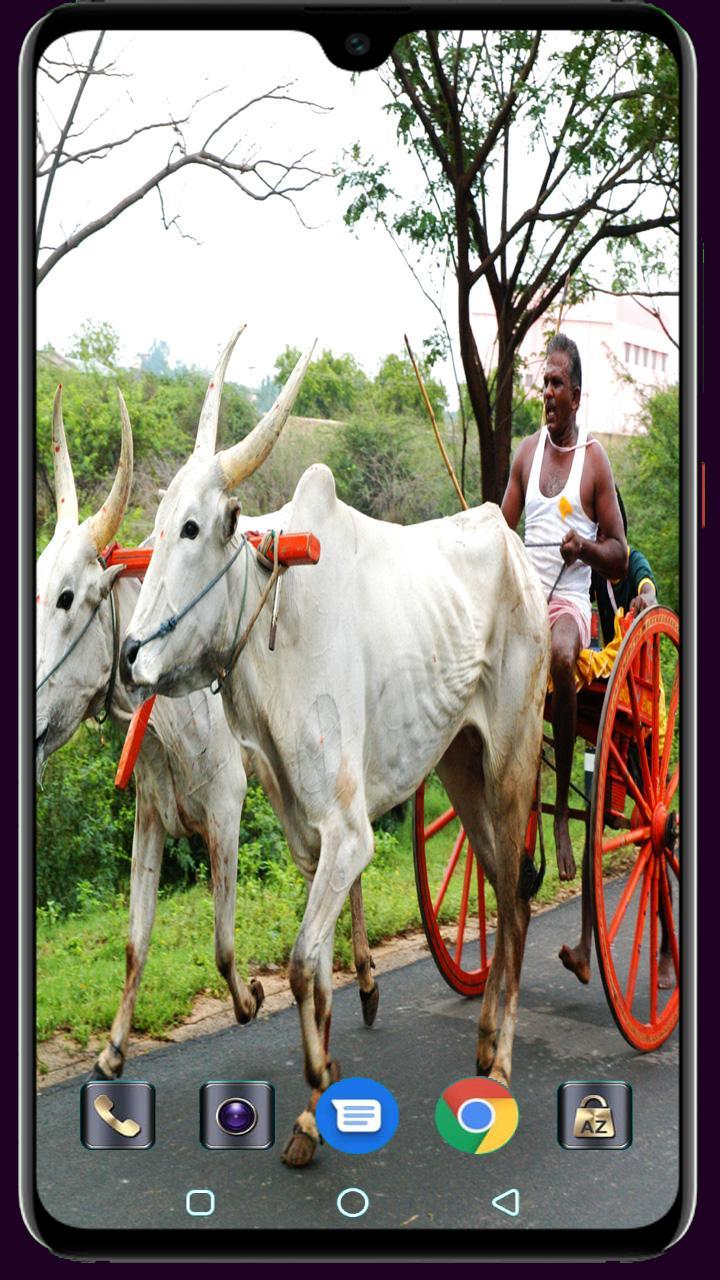 Medical Logo Maker screenshot image 20_funmod.online