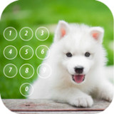 Puppy Dog Lock Screen12.3_funmod.online