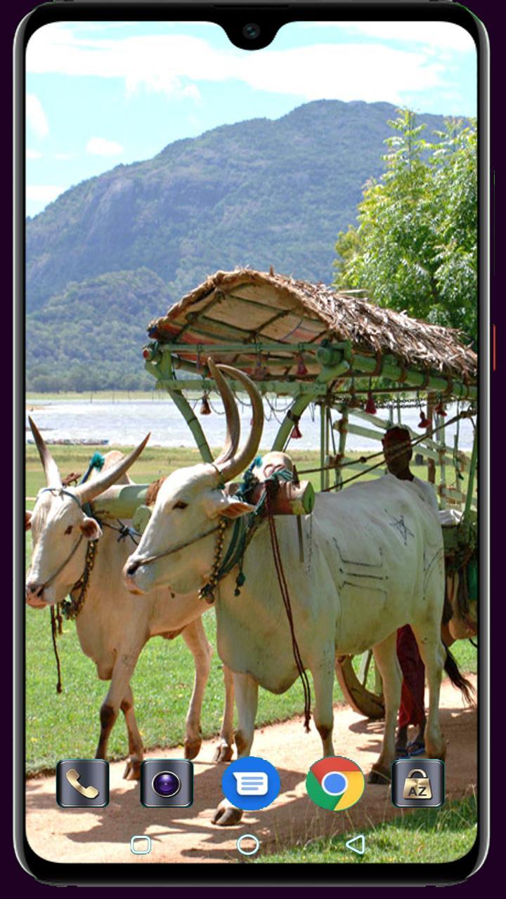 Medical Logo Maker screenshot image 30_funmod.online