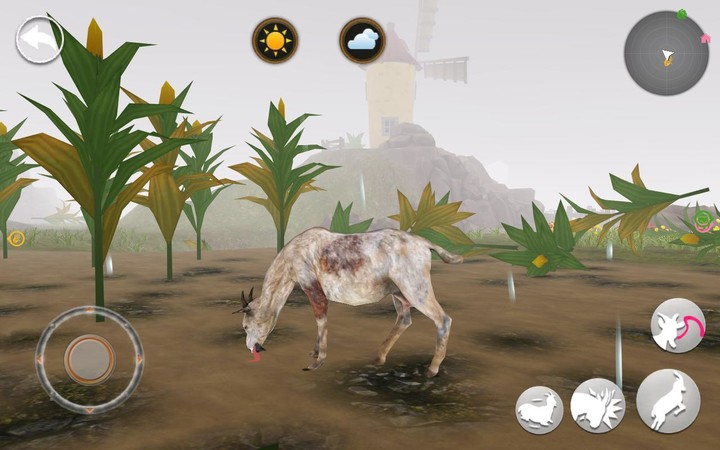 Fluids and Electrolytes MIE screenshot image 36_funmod.online