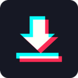 SaveTik1.1_funmod.online