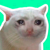 Cat Stickers for WhatsApp2.1_funmod.online