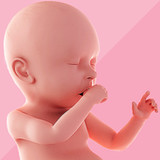 Pregnancy Tracker1.1.14_funmod.online