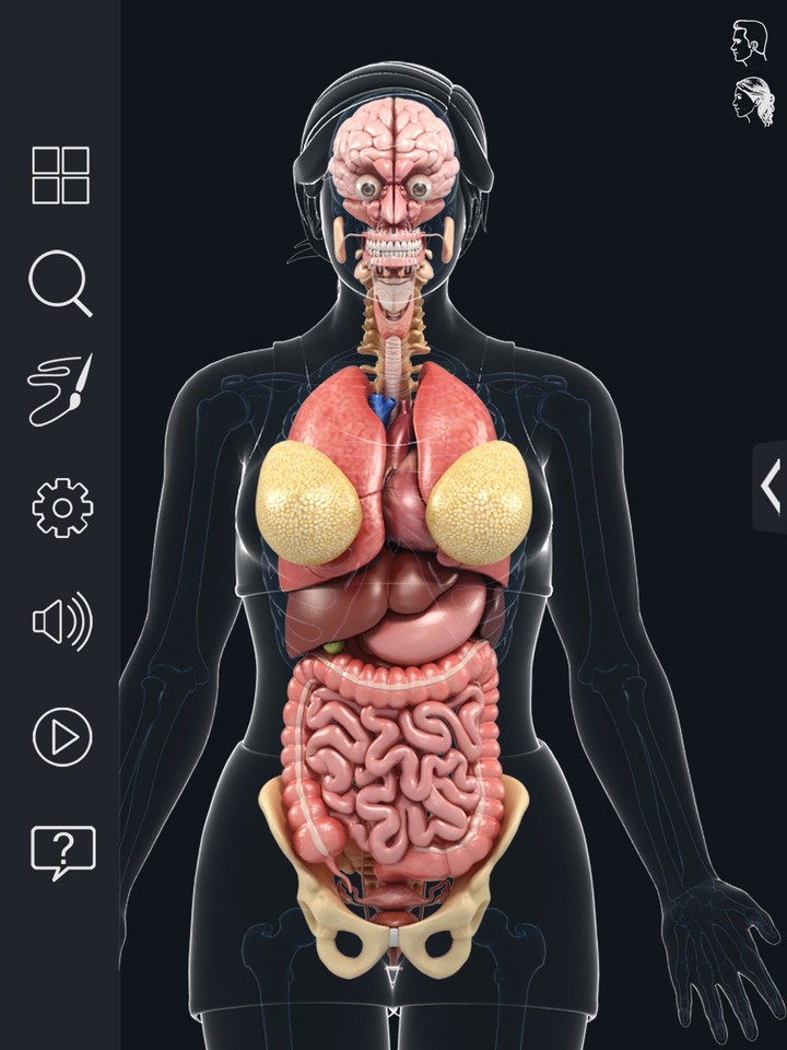 Organs Anatomy Pro. screenshot image 12_funmod.online